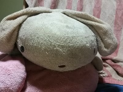 うさごろーさんのプロフィール画像