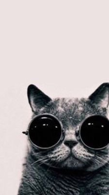 Rufer111's profile picture. I Rufer, I enjoy music, I love the height videobloger to subscribe to my chanall