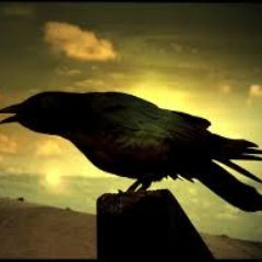 alearicas224's profile picture. 