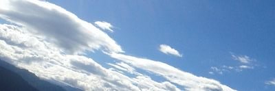 samsungcore217's profile picture. 