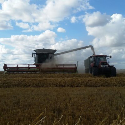 dbanks90's profile picture. 