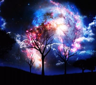 minatorres13's profile picture. Loves animals, music, literature,