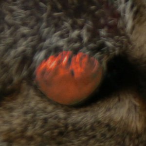 al2klimov's profile picture. Je suis @navalny, @navalnylive sponsor, economic #refugee, stock market bull, #IT expert (🇩🇪 #IHK proved) and #3Dprinting enthusiast.