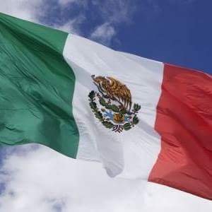 wer014's profile picture. 