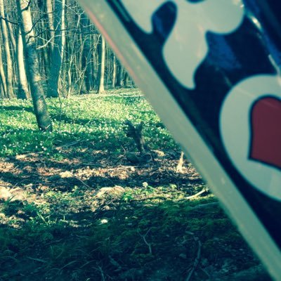 amcolbaek's profile picture. 