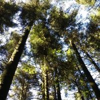 Franck DUBOIS 💙💛 (@franck_wood) 's Twitter Profile Photo