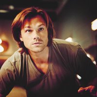Sam Winchester (@moosepuppysam) 's Twitter Profile