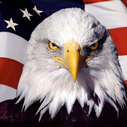 Freedom of Speech above all else. First amendment, First most important.