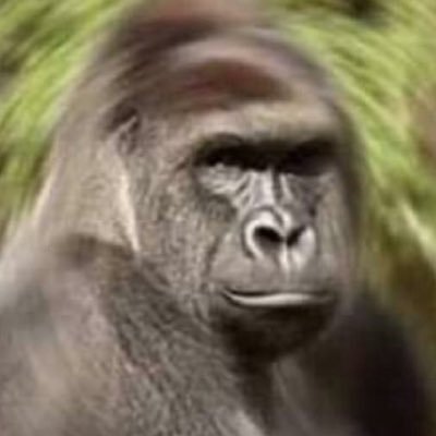 Wet4leafy's profile picture. memer