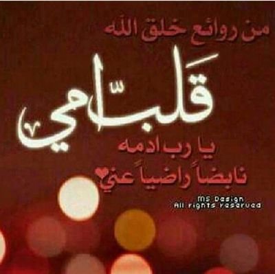 95_gado's profile picture. 