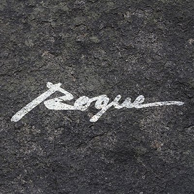 rogueeyewear's profile picture. Your Journey Begins Here. Go Rogue. #gorogue #sunglasses