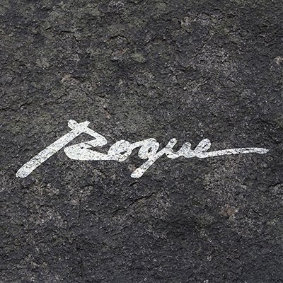 Your Journey Begins Here. Go Rogue. #gorogue #sunglasses