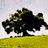 zeitunfilms's profile image