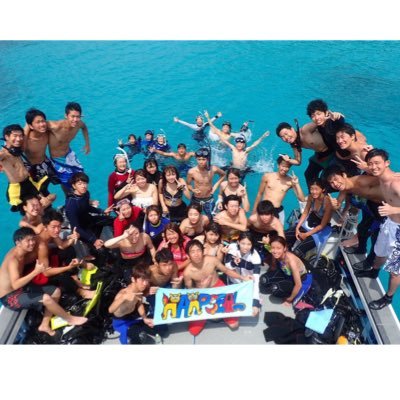 HARPSEAL1's profile picture. 青山学院大学公認 HARPSEALスキューバダイビング愛好会 公式Twitter ＃春から青学 #ダイビング #サークル 新歓アカウント→@2018Harp