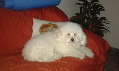 ceb961's profile picture. 