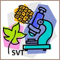 SvT Goscinny (@laurenceolive) 's Twitter Profile Photo SvT Goscinny (@laurenceolive) 's Twitter Profile Photo