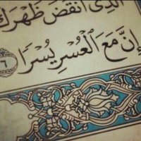 اخبار نور (@aooqaz341) 's Twitter Profile