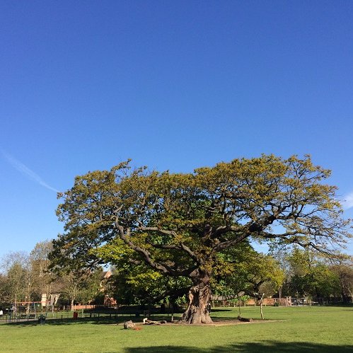 We are a newly formed group of local residents and have a keen interest in Bruce Castle Park: want it to be a park for everyone to enjoy! join us & join in!