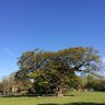 brucecastlepark's profile picture. We are a newly formed group of local residents and have a keen interest in Bruce Castle Park:  want it to be a park for everyone to enjoy! join us & join in!