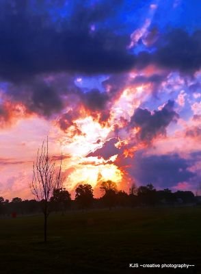 actionreaction1's profile picture. 