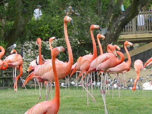 dmtlang's profile picture. Unequal parts mother, wife, circus ring leader, investment fund employee, coffee drinker, handbag and book lover, political junky, and dog owner.