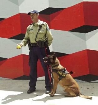 EmagTodo's profile picture. 