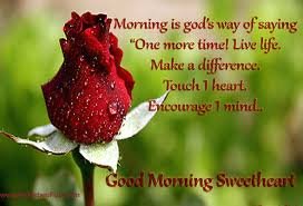 ankit5680's profile picture. study