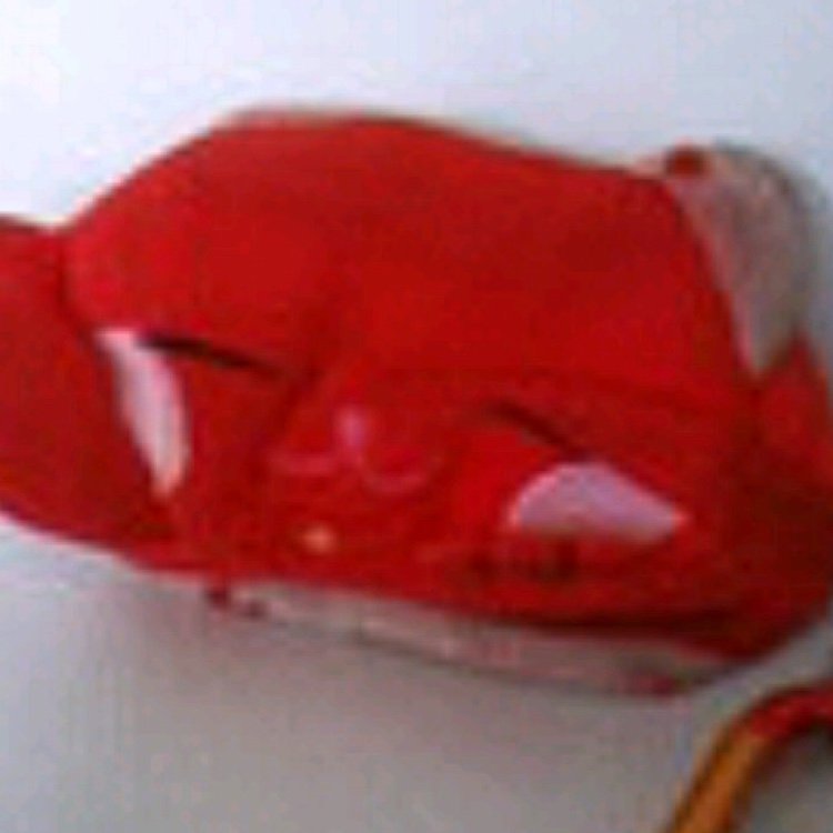 yoshikichi52's profile picture. このアカウントは現在、使われておりません。 ☞@akai_manekineko