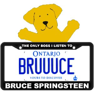 Dog lover. Uber Springsteen fan.