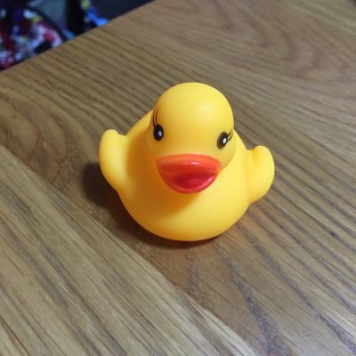 ri58ka58ko's profile picture. 