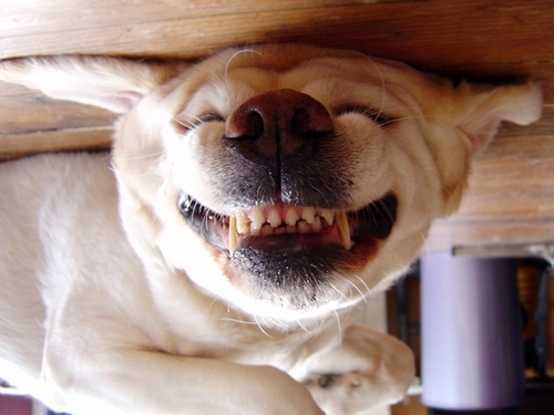 thumperhop's profile picture. 