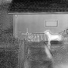 PeterMitchell01's profile picture. Avid editor and motion graphic designer (ret)