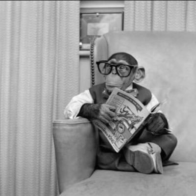 irurzuu's profile picture. 