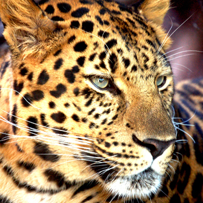 DancingDoll816's profile picture. Jr. Social Media Associate, http://t.co/E2d2sBM02q. I tweet, post on the blog, and file stuff.