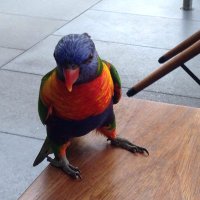 CooperA (@cooperajc) 's Twitter Profile