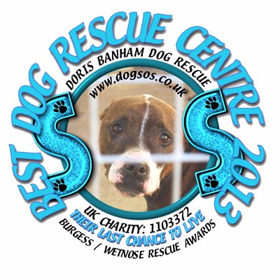 DB Dog Rescue