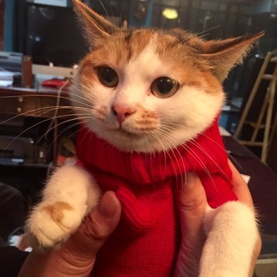 ABBさんのプロフィール画像