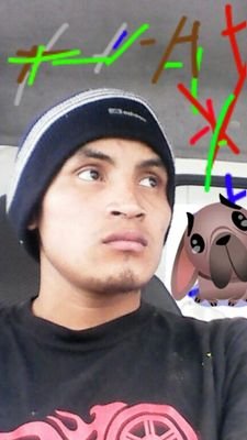 riterlizardo's profile picture. La divercion