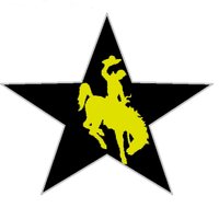 San Antonio Rodeo (@sarodeoffl) 's Twitter Profile