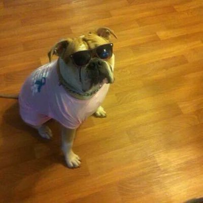 krista4141's profile picture. 