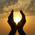 SUSHA LEKSHMI (@sushalekshmi) Twitter profile photo SUSHA LEKSHMI (@sushalekshmi) Twitter profile photo