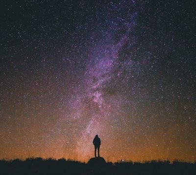 amrelmtrawy1's profile picture. 