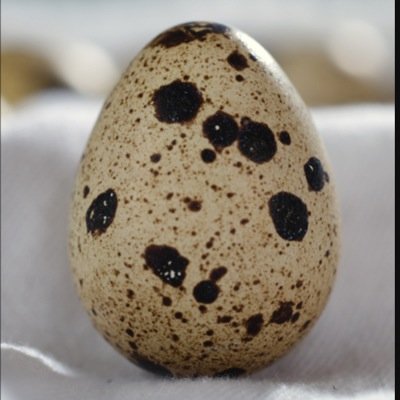 ebethky123's profile picture. 