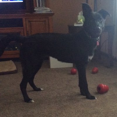 Hatz10Bfd2010's profile picture. 