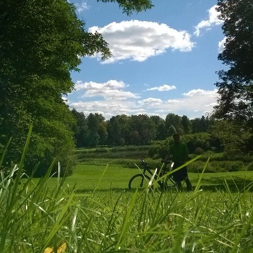 Perc_1's profile picture. 