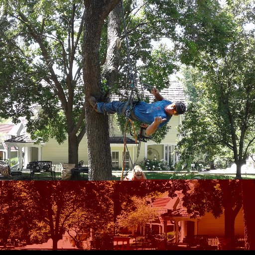 Looking for a Affordable Tree Service in Lawrence? Need tree trimming or a complete tree removal, our tree service company in Lawrence, KS has experienced tree