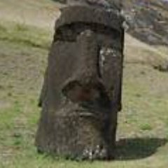 Museums_Band's profile picture. We are an indie/alternative band who are working slowly on getting songs made. Dan, Morgan, Nicolo, and Francisco