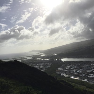 nookfuI's profile picture. *nookdeck*