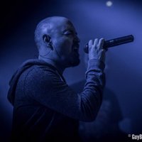 Ivan / Vigilante (@vigilanteband) 's Twitter Profile