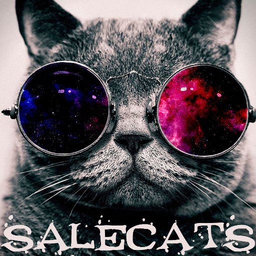 Канал портала по продаже кошек и котят. Канал SaleCats на YouTube: https://t.co/qb2X5XyaW0 . Группа Вконтакте: https://t.co/PcOr0u8NaH